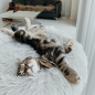 Preview: Fluffy Donut-Katzenkorb, Blau, 80 cm